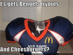 I's gets Bengels tryouts  And Cheesburgers?