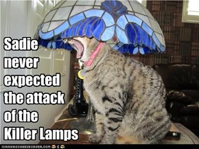 Sadie never expected the attack of the Killer Lamps
