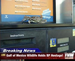 Breaking News - Gulf of Mexico Wildlife Holds BP Hostage!