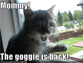 Mommy!  The goggie is back!