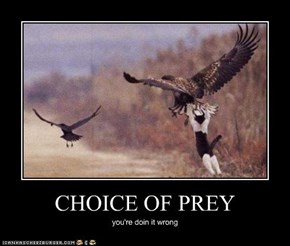 CHOICE OF PREY