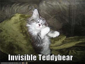 Invisible Teddybear
