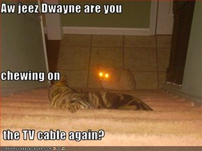 Aw jeez Dwayne are you chewing on  the TV cable again?