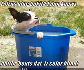 Lolrus blue bukit? I dun knows   nuffin 'bouts dat. Iz color blind!