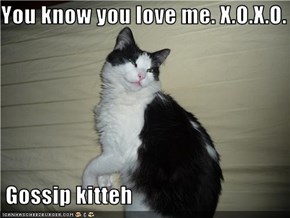 You know you love me. X.O.X.O.   Gossip kitteh