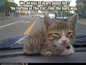 We all has to learn about the "No Farting In The Car" rule the hard way.
