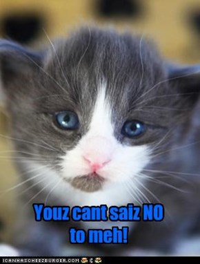 Youz cant saiz NO  to meh!