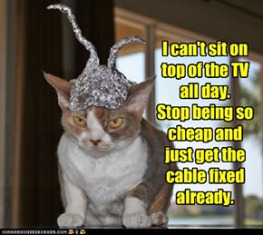 I can't sit on top of the TV all day. Stop being so cheap and just get the cable fixed already.