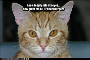 Look deeply into my eyes... Now givez me all ur cheezburgers