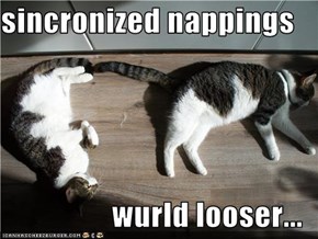sincronized nappings  wurld looser...