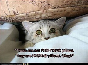 "These are not FIGHTING pillows.  They are HIDING pillows. Okay?"