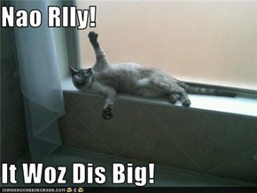 Nao Rlly!  It Woz Dis Big!