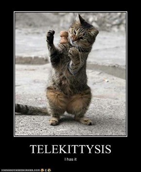 TELEKITTYSIS