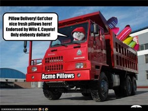 Acme Pillows