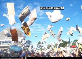 Arial asault : direct hit