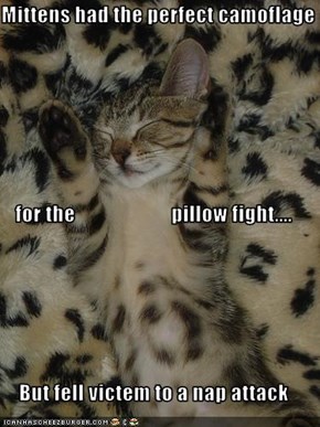 Mittens had the perfect camoflage  for the                       pillow fight.... But fell victem to a nap attack