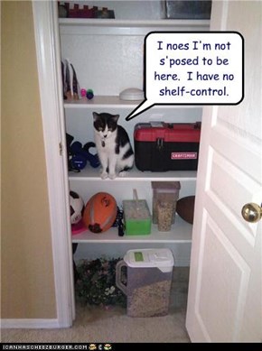 I noes I'm not s'posed to be here.  I have no shelf-control.