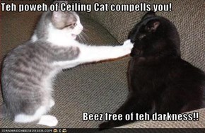 Teh poweh of Ceiling Cat compells you!  Beez free of teh darkness!!