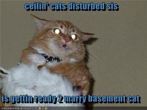 ceilin' cats disturbed sis  is gettin ready 2 marry basement cat