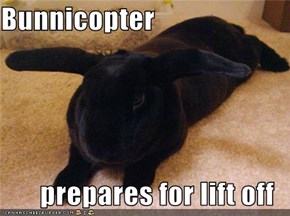 Bunnicopter  prepares for lift off