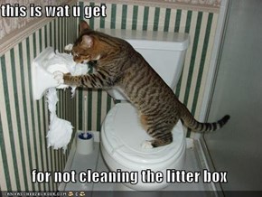 this is wat u get            for not cleaning the litter box