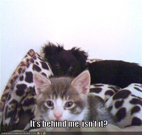 It's behind me, isn't it?