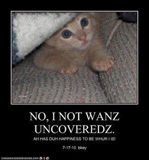 NO, I NOT WANZ UNCOVEREDZ.