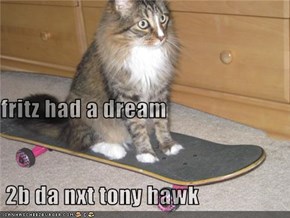 fritz had a dream  2b da nxt tony hawk