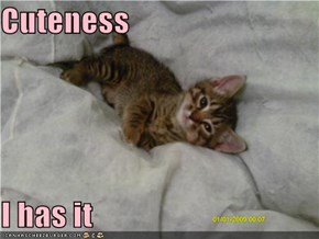Cuteness  I has it
