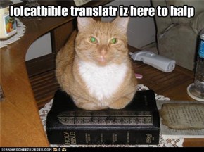 lolcatbible translatr iz here to halp