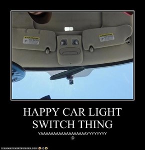 HAPPY CAR LIGHT SWITCH THING