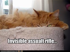 Invisible assualt rifle...