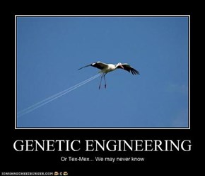 GENETIC ENGINEERING