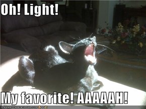 Oh! Light!  My favorite! AAAAAH!