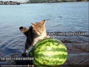 Next time... You swim to the island  to get watermelon