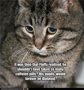 It was then that Fluffy realized, he shouldn't have taken so many caffeine pills .  His pupils  would forever be dialated.