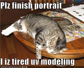 Plz finish portrait  I iz tired uv modeling