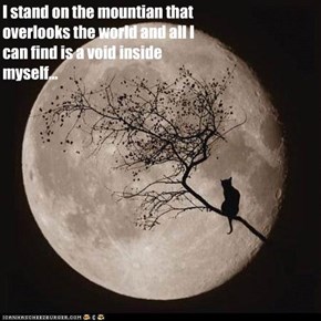 Poetry with LOLcats