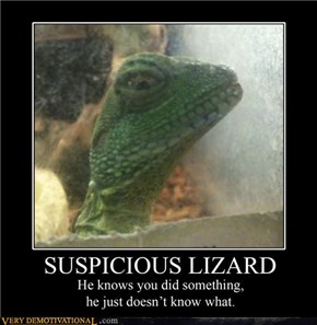 SUSPICIOUS LIZARD