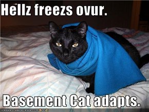Hellz freezs ovur.  Basement Cat adapts.