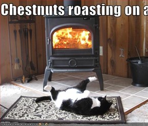 Chestnuts roasting on an open fire..