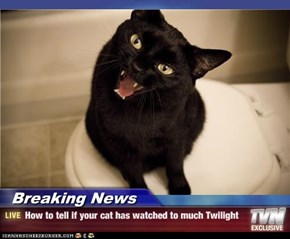 Breaking News - How to tell if your cat has watched to much Twilight