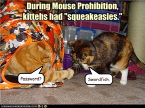 During Mouse Prohibition, kittehs had "squeakeasies."