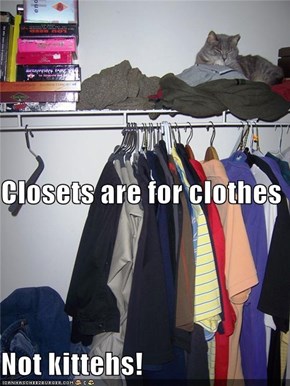 Closets are for clothes Not kittehs!