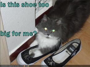 Is this shoe too big for me?