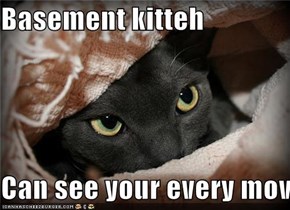 Basement kitteh  Can see your every mov