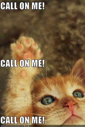 CALL ON ME! CALL ON ME! CALL ON ME!