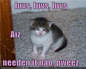 luvs, luvs, luvs       Aiz needen it nao, pweez