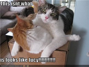 This isnt what   is looks like lucy!!!!!!!!!!!