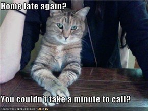 Home late again?  You couldn't take a minute to call?